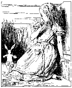 Alice and the White Rabbit in the hallway